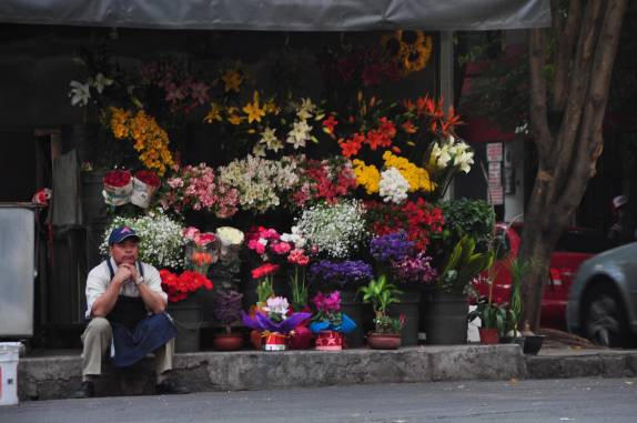 Venda de flores em La Condesa, charmoso bairro da Cidade do México, capital do país